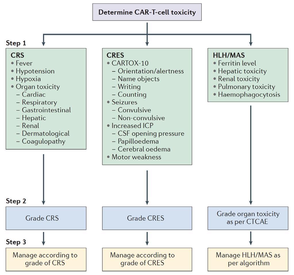 Θεραπεία με CAR T-Κύτταρα Εκτίμηση Τοξικότητας Neelapu et al, Nature Reviews 2017 CRS: Cytokine Release Syndrome