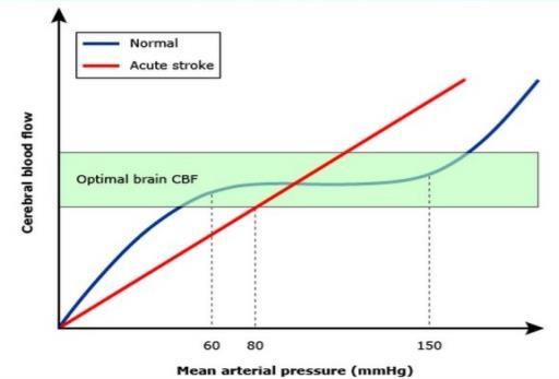 Cerebral Blood Flow (CBF) Cerebral Autoregulation Acute str ΕΠΙΔΡΑΣΗ ΤΗΣ