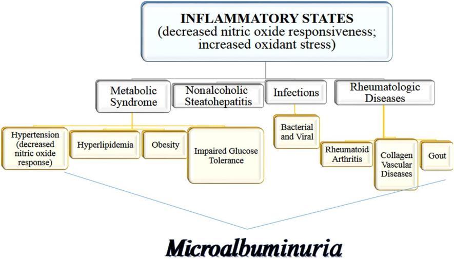 Microalbumin Microalbumin Total