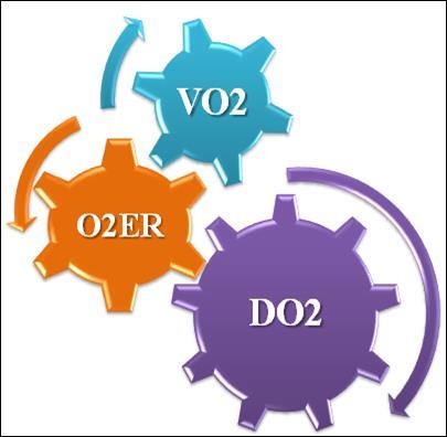 Βαθμός απόληψης Ο 2 (Oxygen Extraction Ratio): O 2 ER Το ποσοστό αυτό του Ο 2 που αποδίδεται συνεχώς