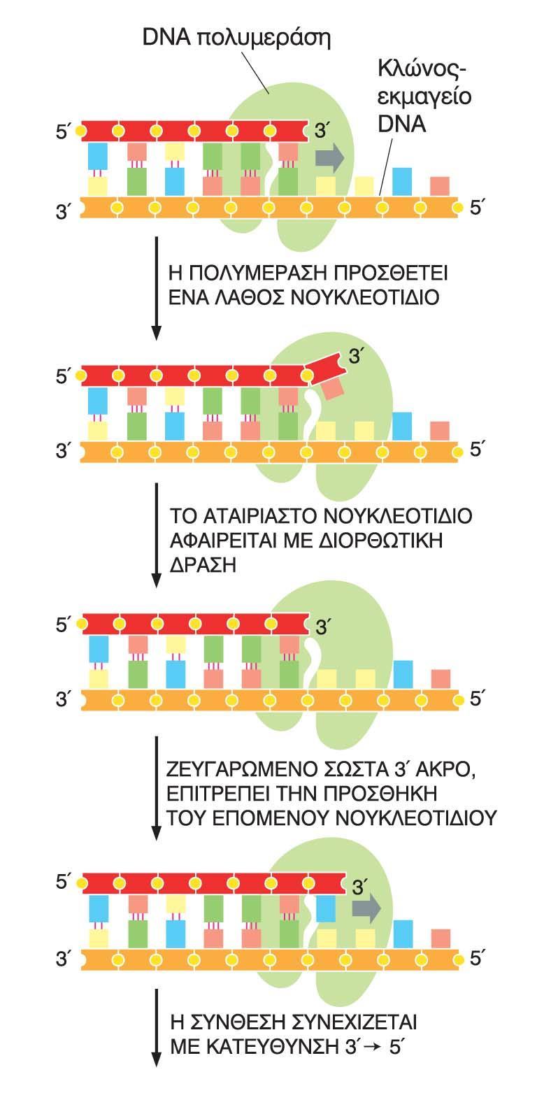 της Πολυμερισμός 5 3