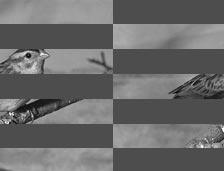 (dissolvenza a rimbalzo, solo dissolvenza in apertura) [b] STBY MONOTONE