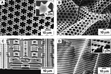 1998, 37, 550 SEM images of polymeric microstructures fabricated by MIMIC from prepolymer of