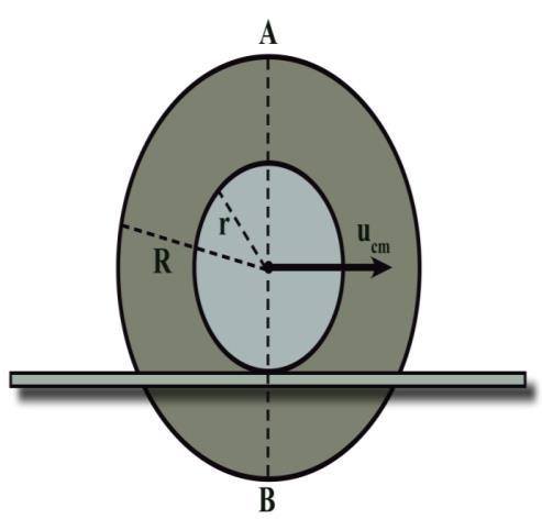 ταλαντώσεων είναι Δφ=0,5π rad.