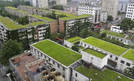 (Rain barrels) Πράσινες στέγες (Green roofs) & Κάθετοι κήποι
