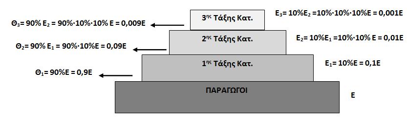 Αφού έχουμε 4 τροφικά επίπεδα τότε έχουμε μέχρι 3 ης τάξης καταναλωτές στην τροφική πυραμίδα.