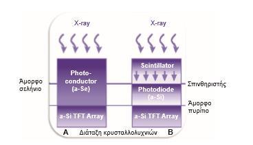 βασικές κατηγορίες: 3.