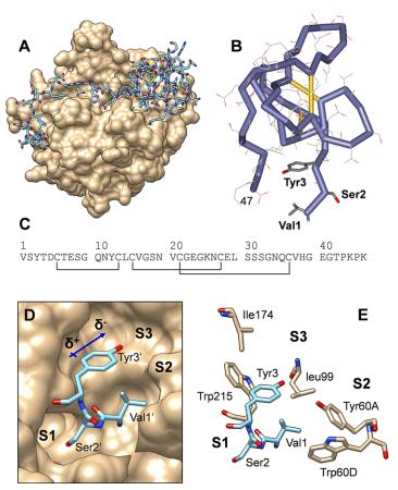Σεμινάριο στα ειδικά βιοχημείας Noncoded amino acids in protein engineering: Structure activity relationship studies of hirudin thrombin interaction Ομάδα 13: