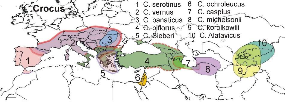 περιγράμματος, (2) οι χάρτες σημείων και (3) οι χάρτες