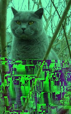 >>> cat_funny = np.uint8(cat_funny) >>> imageio.imwrite('funny.png', cat_funny) Τώρα το αποτέλεσμα είναι αυτό του Σχήματος 3. Σχήμα 3: Με αλλαγμένα τα χρώματα funny.png. 4.