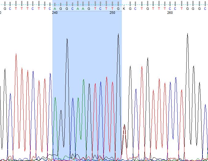 Ε ά ά ω ( 28 29) ζ ω φ ά ύ ά Sanger. Εικόνα 28:Α ω φ θ φ ύ rs9376230 DNA θ ά ζ β-.