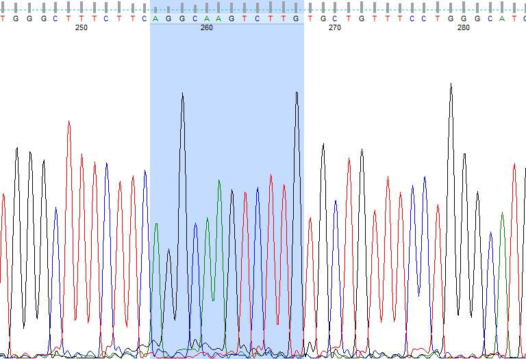 ζ ά K. Α ω ζ θ φ ύ. Ε ω A/C. Εικόνα 29:Α ω φ θ φ ύ rs9376230 DNA θ ύ ζ β-. Ε ω άφ ψ θ φ, ά ξύ θ β ύ. Η θ φ ύ 5 -AGGCAAGTCTTG-3 FinchTV. Γ ω ζ βά θ PCR ϊ ω ύ θ ω ω θ. Μ φ ω ω β θ φ. Σ ξ θ ζ ά Τ.