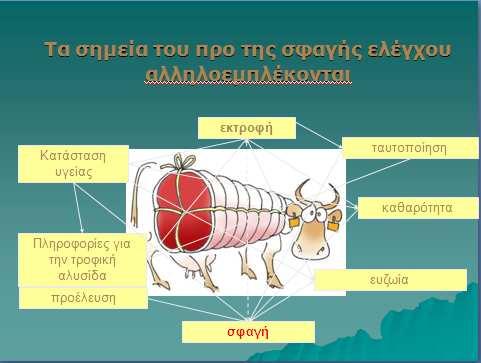 Σε περίπτωση κατά την οποία ο ΥΣ έχει αντιληφθεί κάτι από τα παραπάνω πρέπει να το θέσει αµέσως υπόψη του ΕΚ. Ζώα ύποπτα πρέπει να αποµονώνονται σε ειδικές εγκαταστάσεις του σφαγείου.