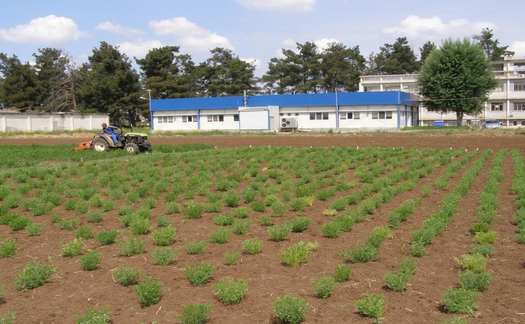 On farm Διατήρηση απουσία