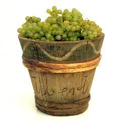 Σπάνιες Βερολινέζικες ποικιλίες κρασιών Πάνω από 800 χρόνια καλλιεργούνται αμπέλια στις πύλες του Βερολίνου.