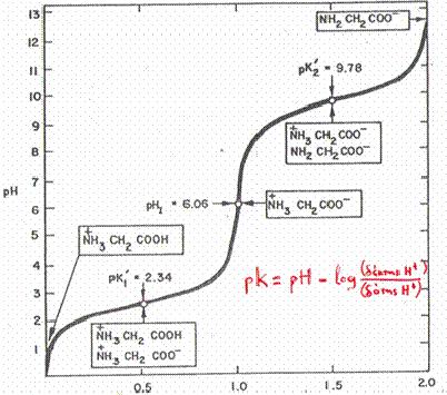Τα αµινοξέα είναι αµφολύτες (Zwitterions) R C COO + NH 3 R ΟΞΥ + C NH 3 COO H + + R ΒΑΣΗ C NH 2 COO + - [H ][ αµινοξυ ] pka 2 = -log ± [ αµινοξυ ] R ΒΑΣΗ C COO + H + R ΟΞΥ C COOH + ± [H ][ αµινοξυ ]
