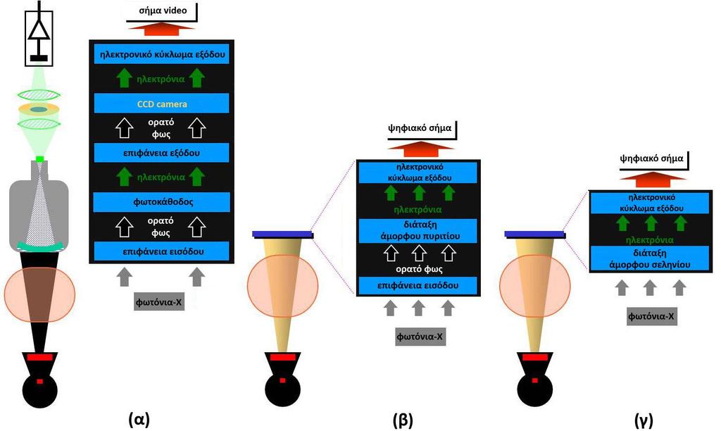 5.2 Σύστημα σχηματισμού εικόνας Μετά την αλληλεπίδραση της με τον εξεταζόμενο, η δέσμη των ακτίνων-x προσπίπτει στο σύστημα ανίχνευσης και σχηματισμού εικόνας το οποίο είναι είτε ενισχυτής εικόνας