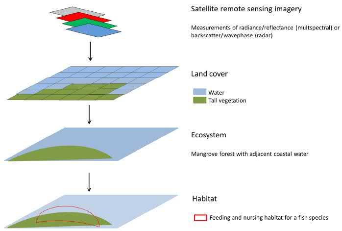 Εικόνα 40. Εξαγωγή πληροφοριών σχετικά με την κάλυψη γης από δορυφορικές εικόνες και στη συνέχεια κατανομή των οικοσυστημάτων και οικοτόπων (Pettorelli et al. 2018).