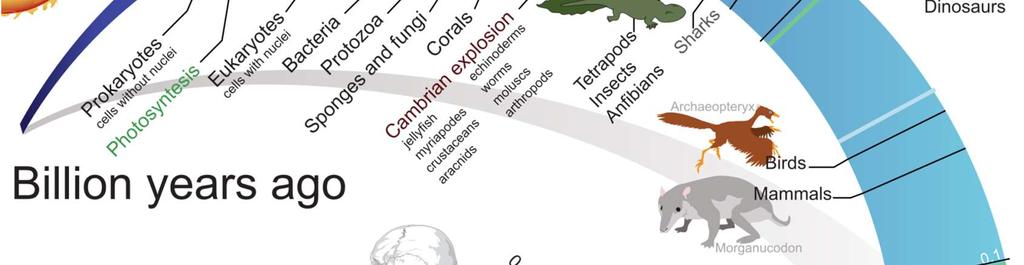 6 BYA Formation of the Solar System/Earth 3.