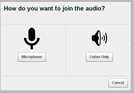 Μόλις συνδεθείτε εμφανίζεται το παράθυρο με το μήνυμα «How do you want to join the audio» επιλέγετε
