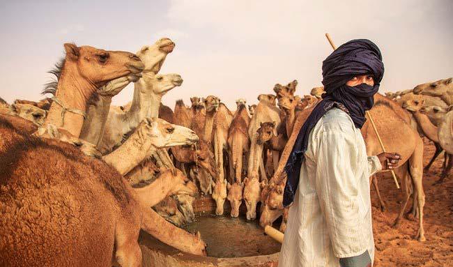 3η ΗΜΕΡΑ: ΑΤΑΡ ΟΥΑΝΤΑΝΕ Πρωινή αναχώρηση για μια μικρή πόλη χαμένη στην απεραντοσύνη της Μαυριτανικής ερήμου.