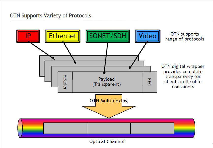 OTN - optical