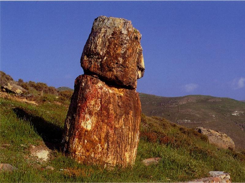 Απολιθωμένο Δάσος Λέσβου