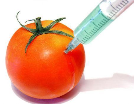 Γενετικά τροποποιημένα τρόφιμα Γενετικά τροποποιημένα τρόφιμα (αγγλικά: GM foods και