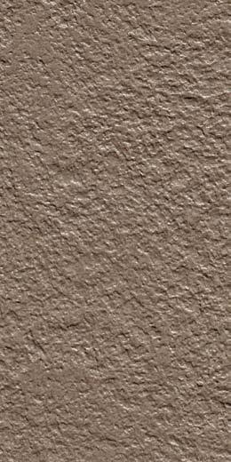 RB12 NCS S 4005-y50r ICON TAUPE RB12