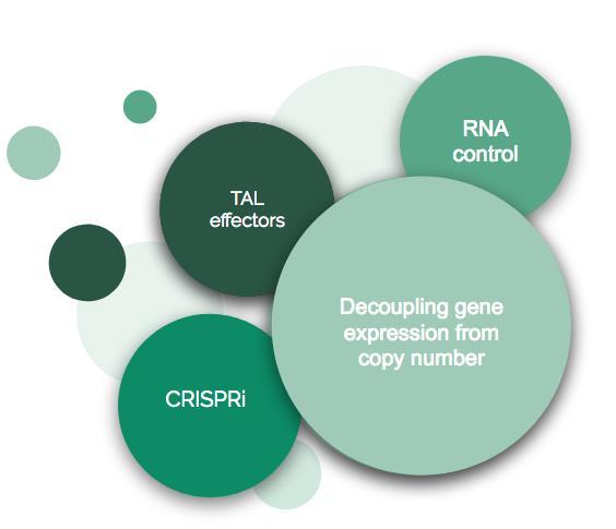 Galene genetic Toolbox Stabilization & Inducibility TALeffectors: Είναι πρωτεΐνες που απομονώθηκαν από το γένος Xanthomonas, στοχεύουν και προσδένονται σε συγκεκριμένες αλληλουχίες υποκινητών,