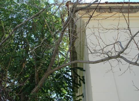 ΑΠΟ ΟΣΚ Φωτ.