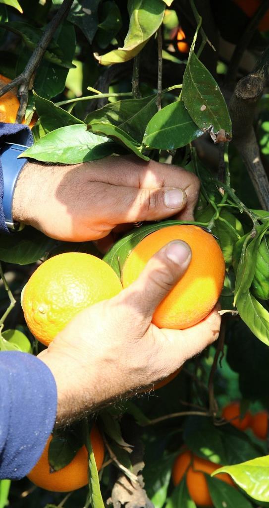 ΥΔΑΤΙΚΩΝ ΠΟΡΩΝ ΕΦΑΡΜΟΓΕΣ 1