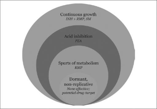A Mitchison, Basic mechanisms of