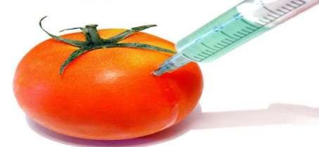 Γενετικά Τροποποιημένοι Οργανισμοί Γενετικά τροποποιημένα τρόφιμα