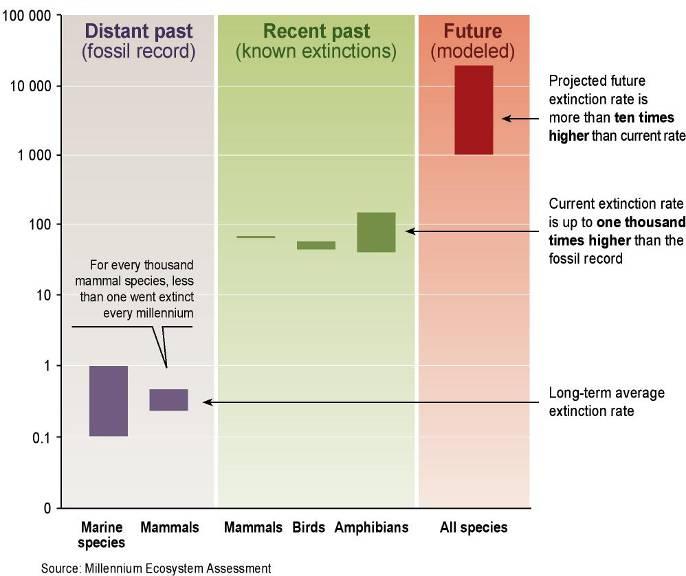 Απώλεια βιοποικιλότητας Εξαφάνιση ειδών ανά χίλια είδη ανά χιλιετία Ο ρυθμός