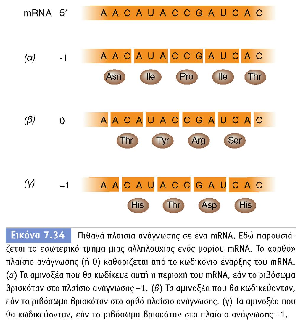 BIOΛOΓIA TΩN MIKPOOPΓANIΣMΩN