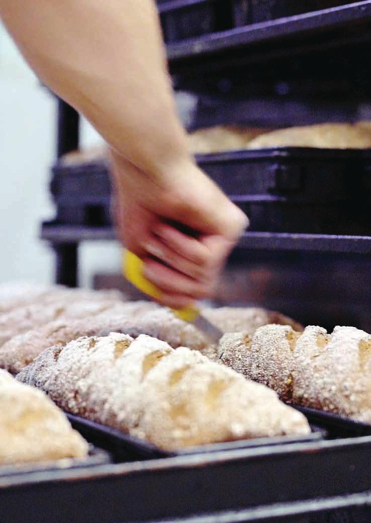 25%* Μίγματα αρτοποιίας Bread mixes Zee-μωτό Παραδοσιακό απεριόριστης ποικιλίας