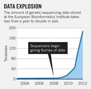 the cost of DNA