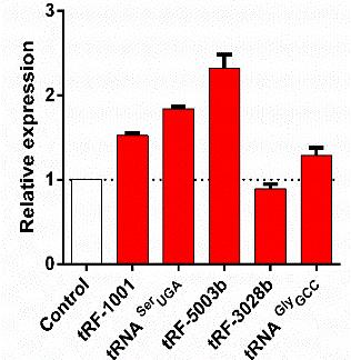 ανάλυση με RT-qPCR. Στην Εικόνα 37.