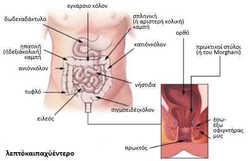 ΠΟΙΕΣ ΕΙΝΑΙ ΟΙ ΕΠΙΛΟΓΕΣ ΤΗΣ ΘΕΡΑΠΕΙΑΣ; Ο σχεδιασμός της θεραπείας απαιτεί τη συμμετοχή μιας ομάδας ιατρών διαφορετικών ειδικοτήτων.