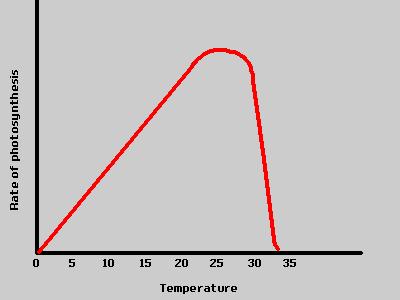 Φωτοσυνθετική δυναμικότητα Επίδραση της θερμοκρασίας Η φωτοσύνθεση των δέντρων αυξάνει