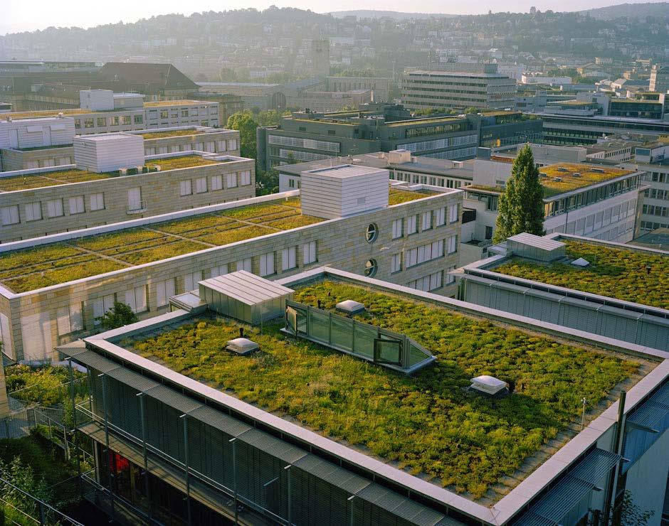 Πράσινες Οροφές (Green Roofs) Επίσης εφαρμόσιμα σε πυκνό αστικό περιβάλλον