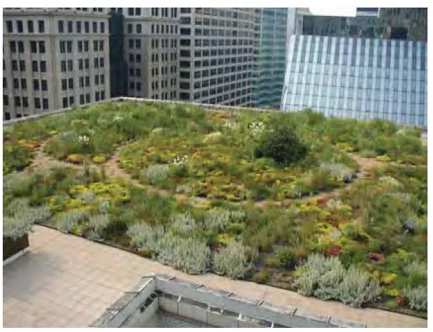 Τι είναι το heat island effect; Η πράσινη οροφή στο Δημαρχείο στο Σικάγο