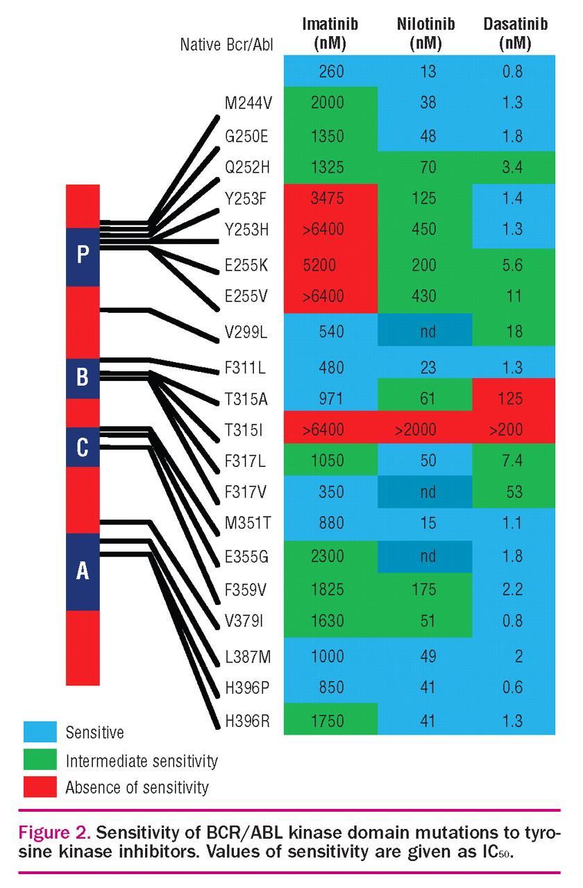 Sensitivity of BCR/ABL kinase domain mutations to tyrosine