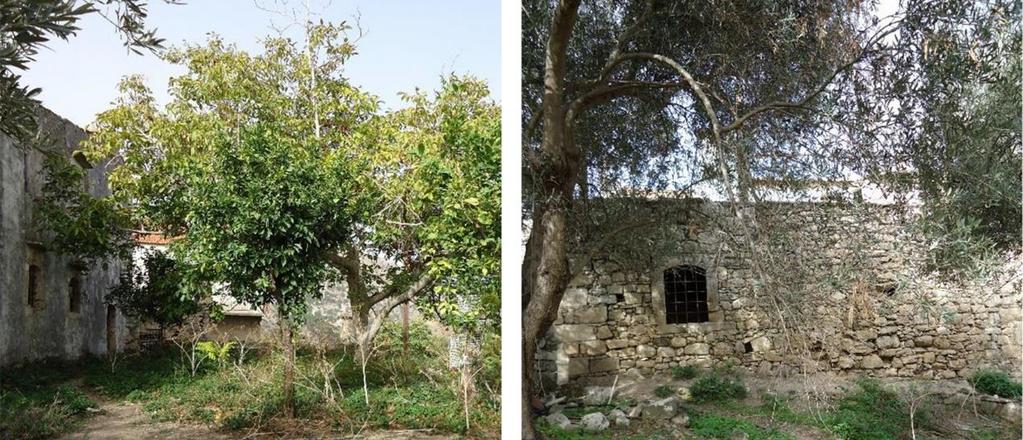 του απέναντι δυώροφου κτιρίου στην δυτική όψη (Εικόνα 8) και του υψηλού μαντρότοιχου στη