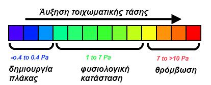 Σχήμα 1. Επίδραση της τοιχωματικής διατμητικής τάσης στη λειτουργία του ενδοθηλίου [2].