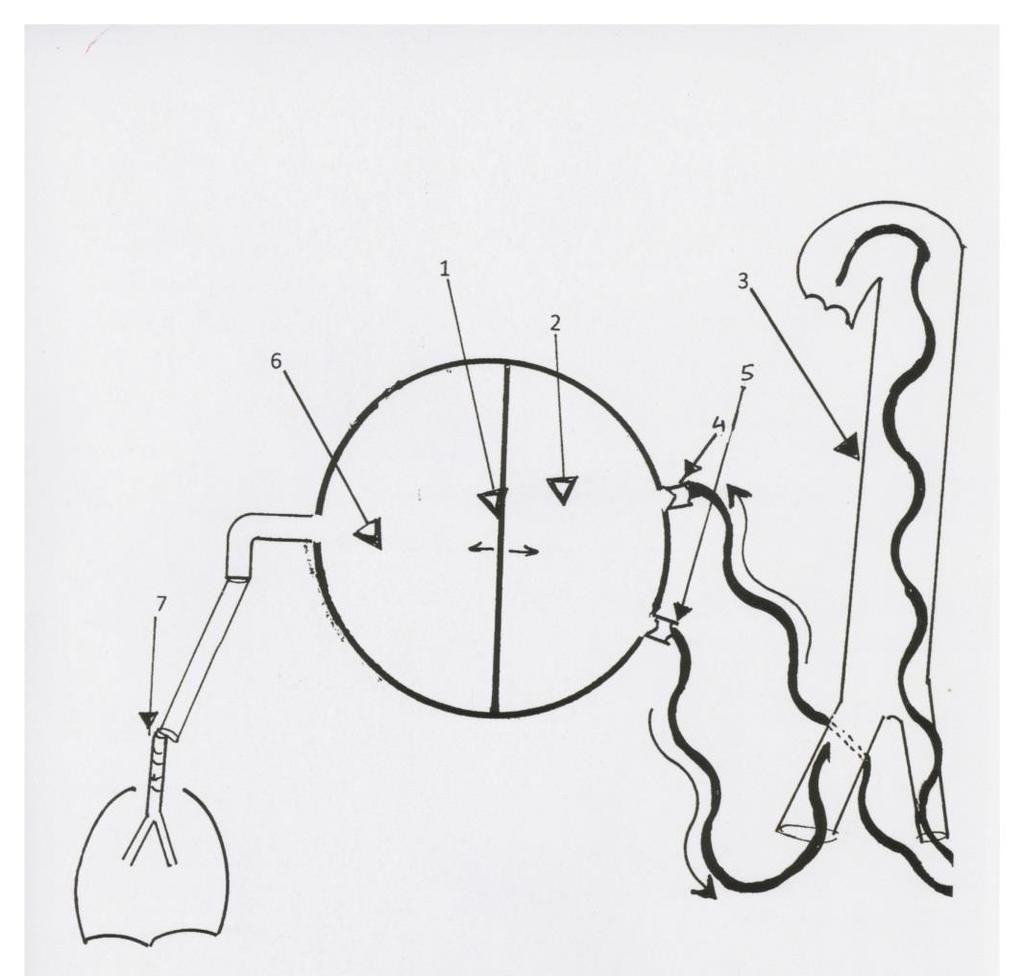 A novel native energy inverter a new mechanical circulatory support device Mechanical Pump The mechanical pump is consisted of two chambers separated by an elastic membrane: One chamber is connected