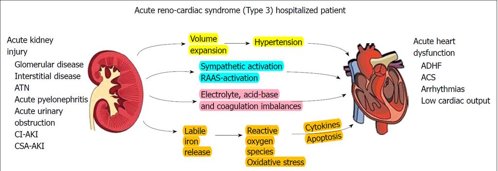 Οξεία νεφρική νόσος και καρδιακή