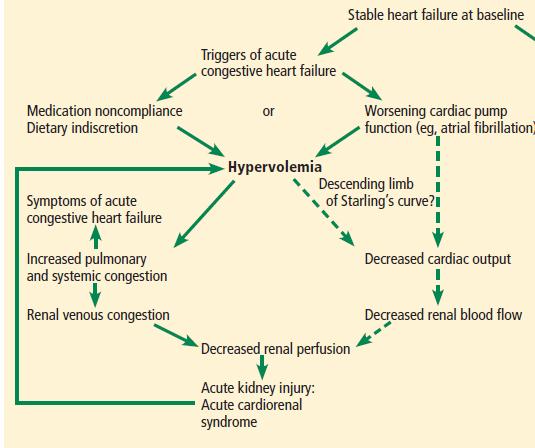 Οξεία καρδιακή ανεπάρκεια και νεφρική νόσος Σημαντικό ρόλο η φλεβική