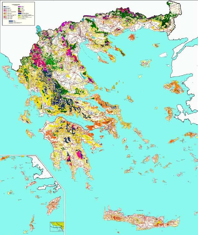 Τα ελληνικά δάση και η Δασοπονία: η κατάσταση τους!